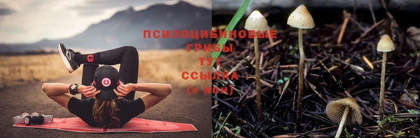 твердый Лиски