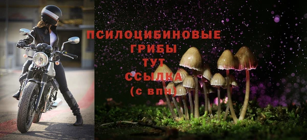 соль курить ск Лабытнанги