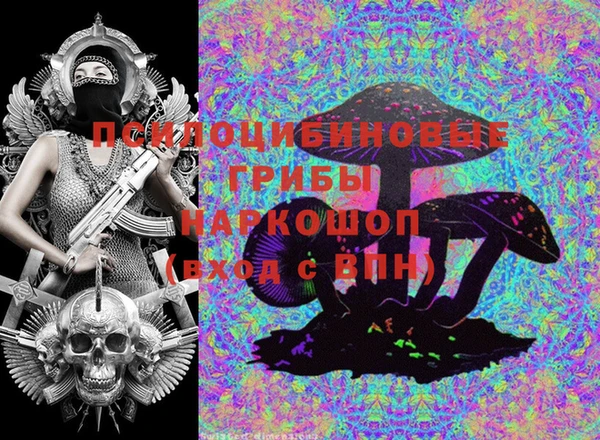 дурь Лагань