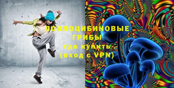 дживик Липки