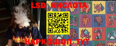 шишки Краснодар
