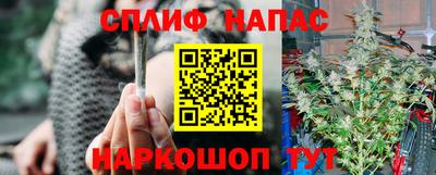шишки Краснодар