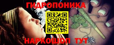 шишки Краснодар