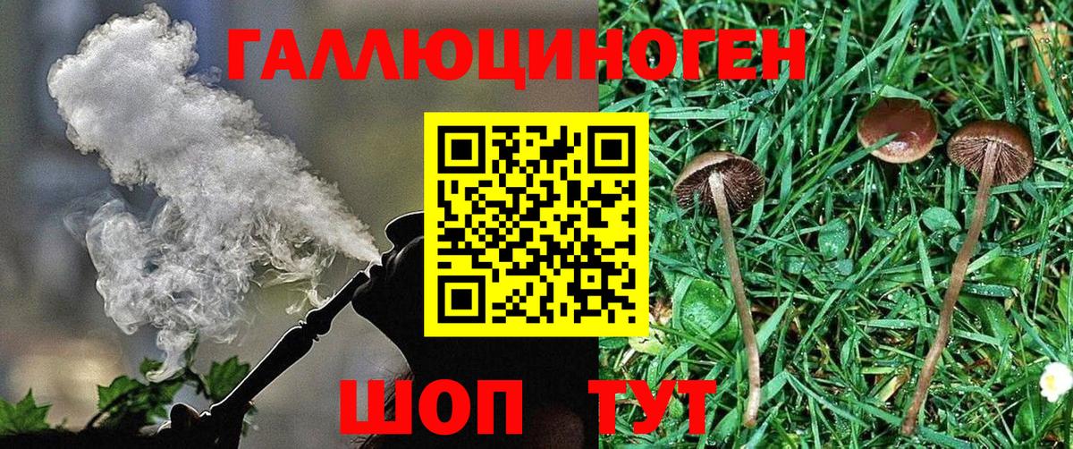 Галлюциногенные грибы Cubensis Ялта